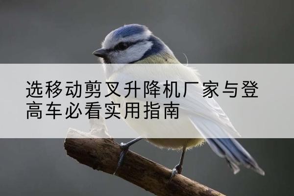 永登电动升降机厂家-选移动剪叉升降机厂家与登高车必看实用指南