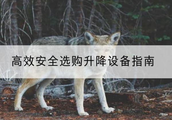 永登升降货梯厂家推荐-*安全选购升降设备指南