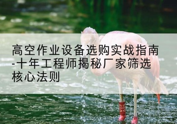永登剪叉式升降机厂家-高空作业设备选购实战指南-十年工程师揭秘厂家筛选核心法则